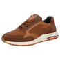 Sioux shoes men Turibio-711-J Sneaker brown 10805 for 89,95 € 